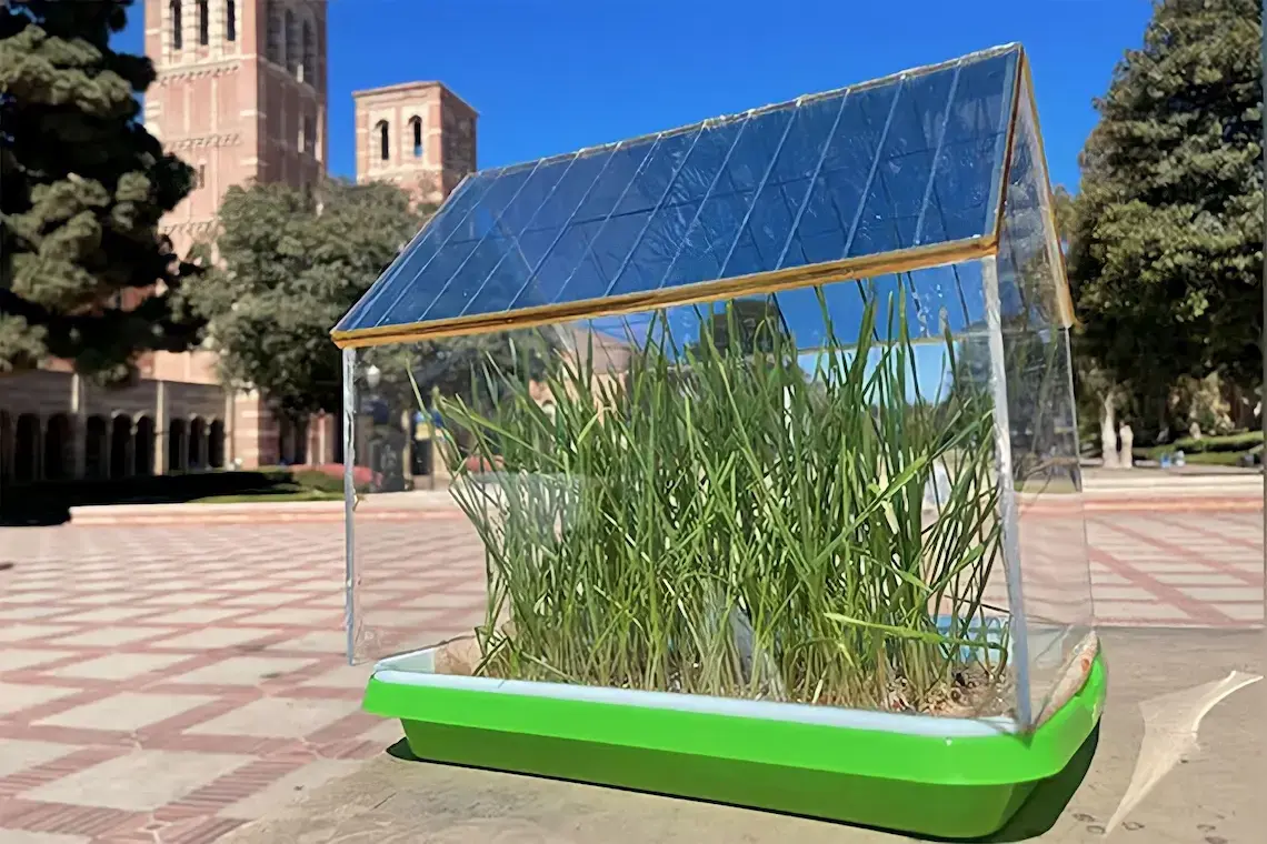 Innovative Semi-Transparent Solar Cells for Plants